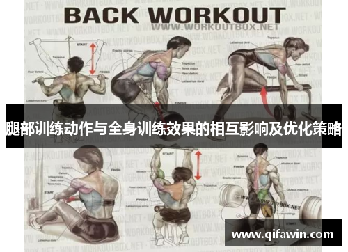 腿部训练动作与全身训练效果的相互影响及优化策略